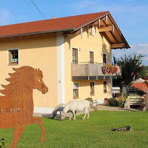 Ponyhof Adam Urlaub Auf Dem Bauernhof Eschlkam